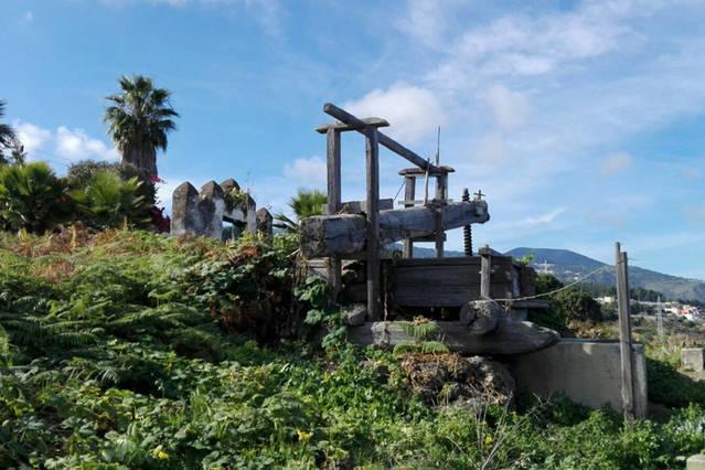 Casa Armando Villa Icod De Los Vinos Ngoại thất bức ảnh